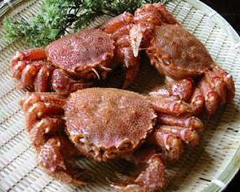 ★蟹代・送料・消費税込み★活毛蟹3杯1.5㎏前後セット 